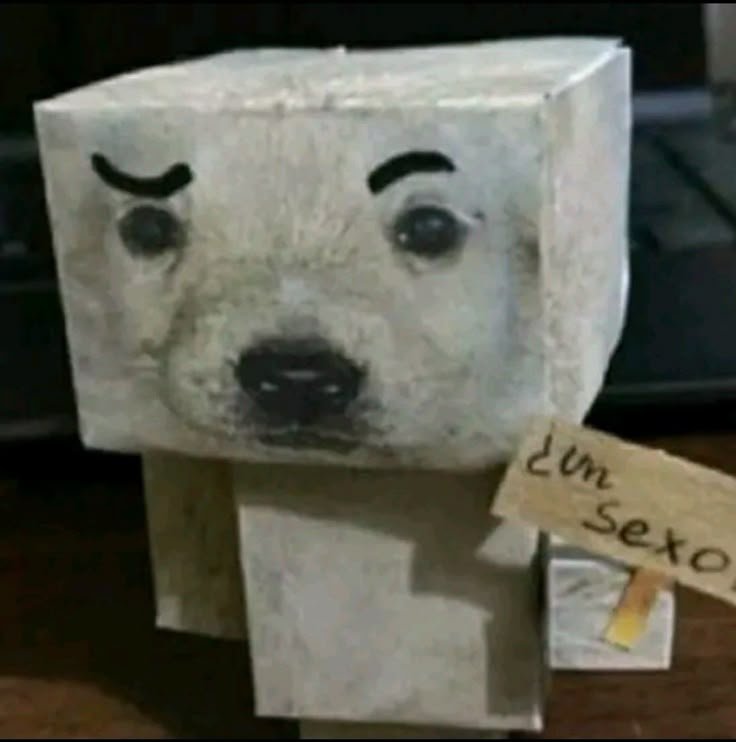 Money dog meme