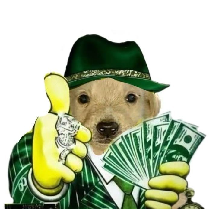 Money dog meme