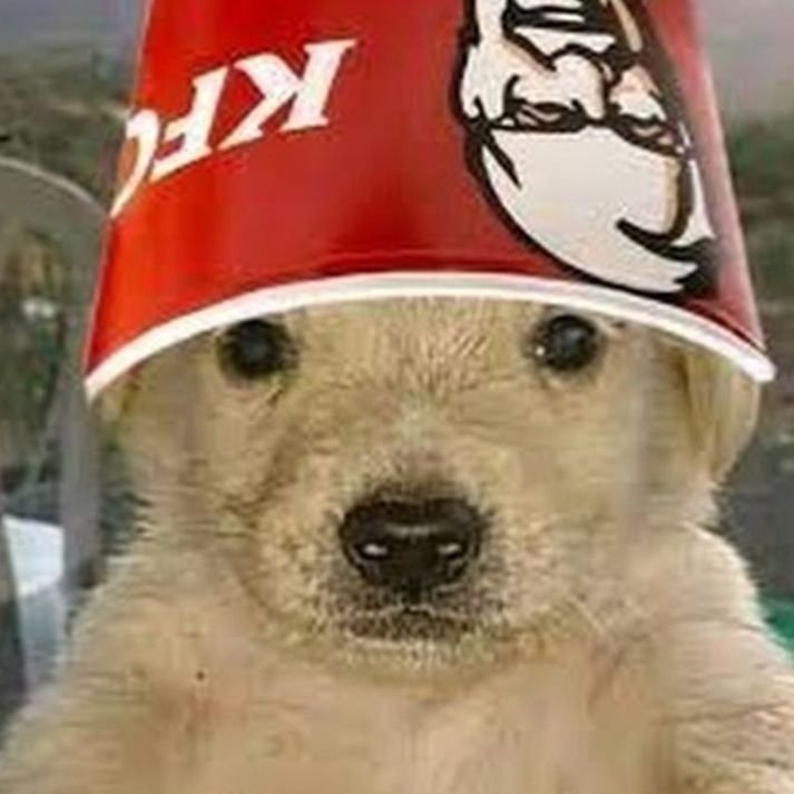 Money dog meme